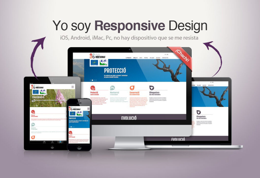 Diseño-pagina-Web-Responsive